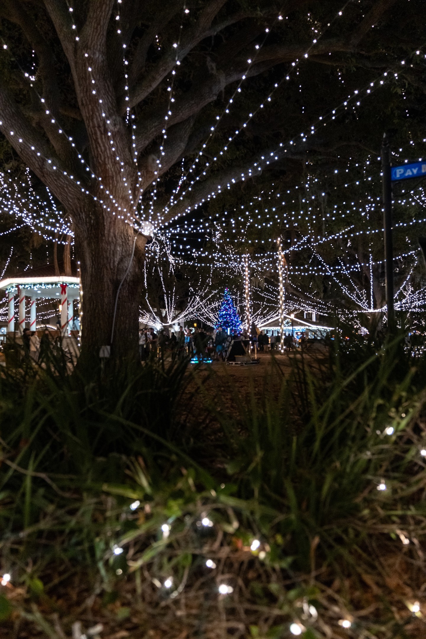 St. Augustine's Nights of Lights has been listed among the top ten holiday light displays in the world by National Geogr