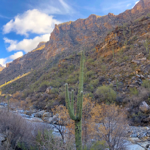 The Sky Islands of Southern Arizona  thumbnail
