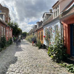 Danish Cycling Adventure  thumbnail