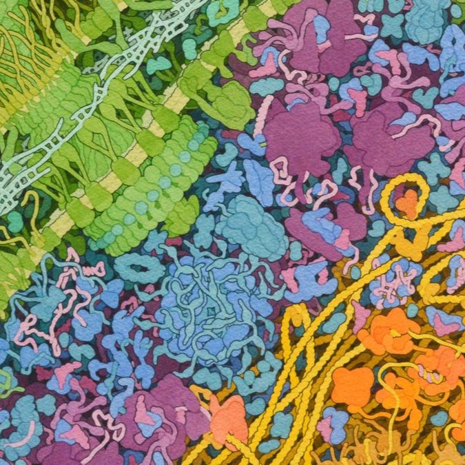 Climate change is disrupting the human gut in a new path to illness thumbnail