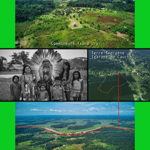 Crowdfunding "La voix de la forêt" en connexion avec le monde  thumbnail