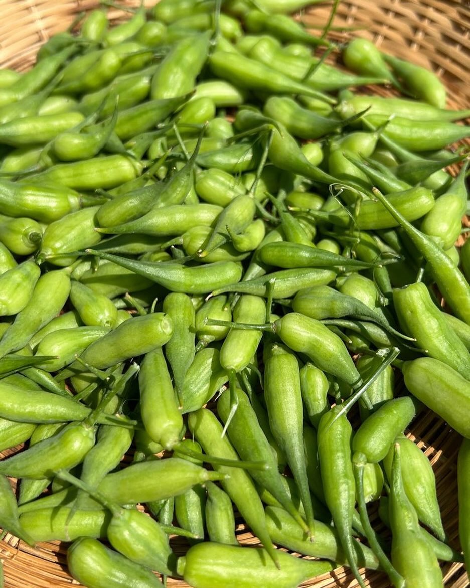 Pickled cucumbers have had their moment. 

Don’t get me wrong, I love pickled cucumbers — but it’s just as fun to pickle