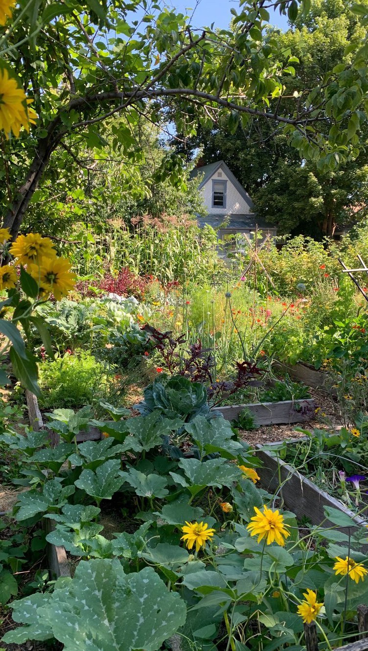 For a garden to be successful, it needs to be maintained all season long. Here are some tips to help your garden stay fr