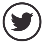 Twitter thumbnail
