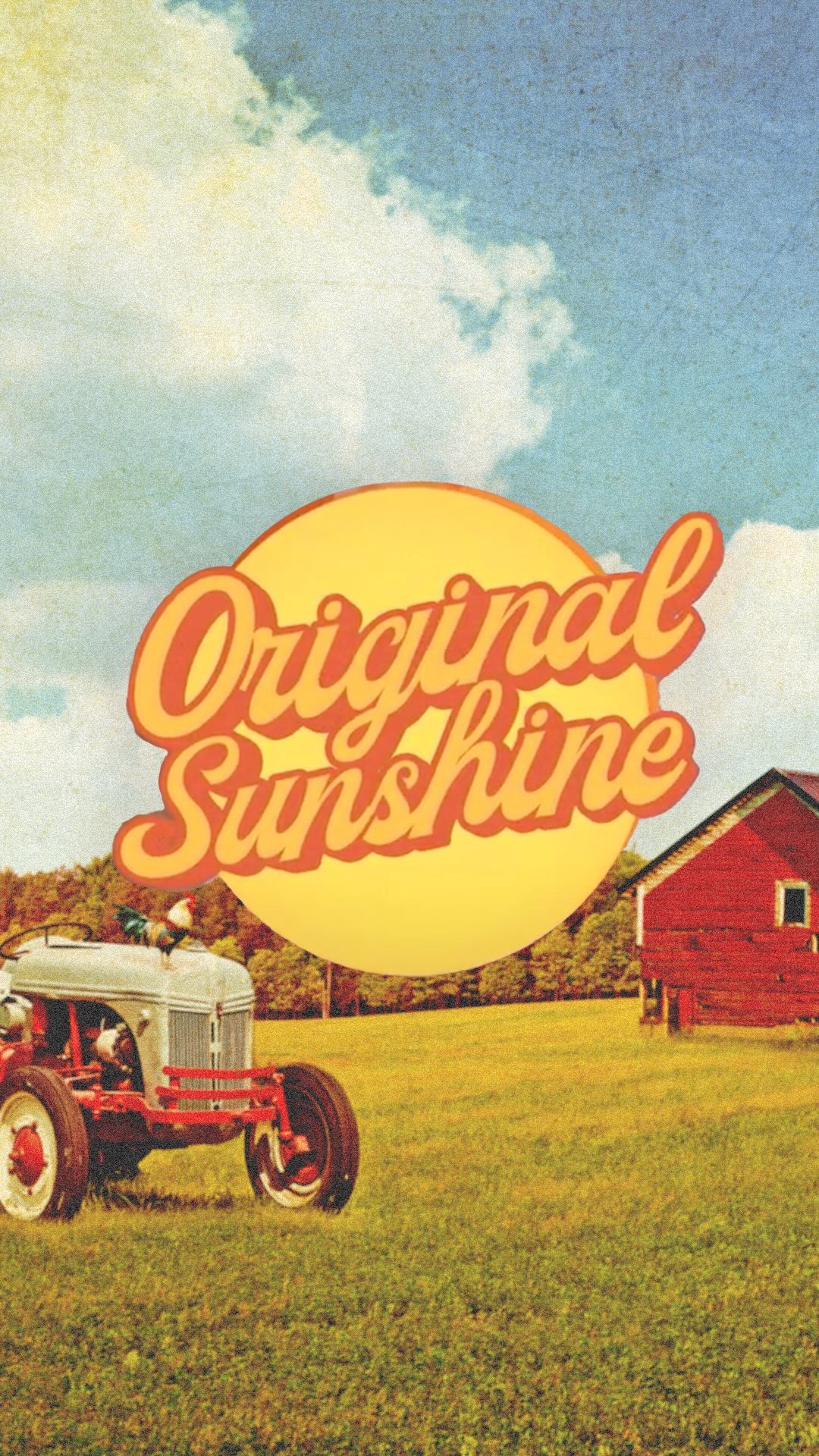Step back in time with Original Sunshine’s 1950’s-inspired video series rolling out this week!  We partnered with @blank