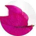 website FAQ thumbnail