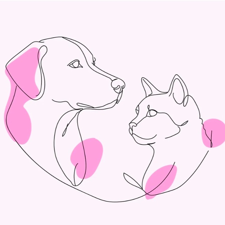 Inscription au webinaire du 05/05/2026 thumbnail