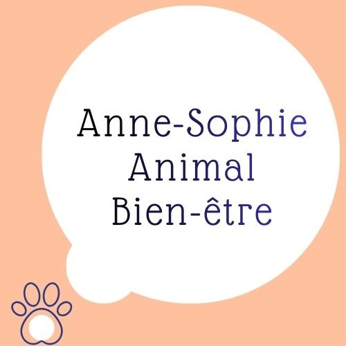 Consultations et ateliers  thumbnail