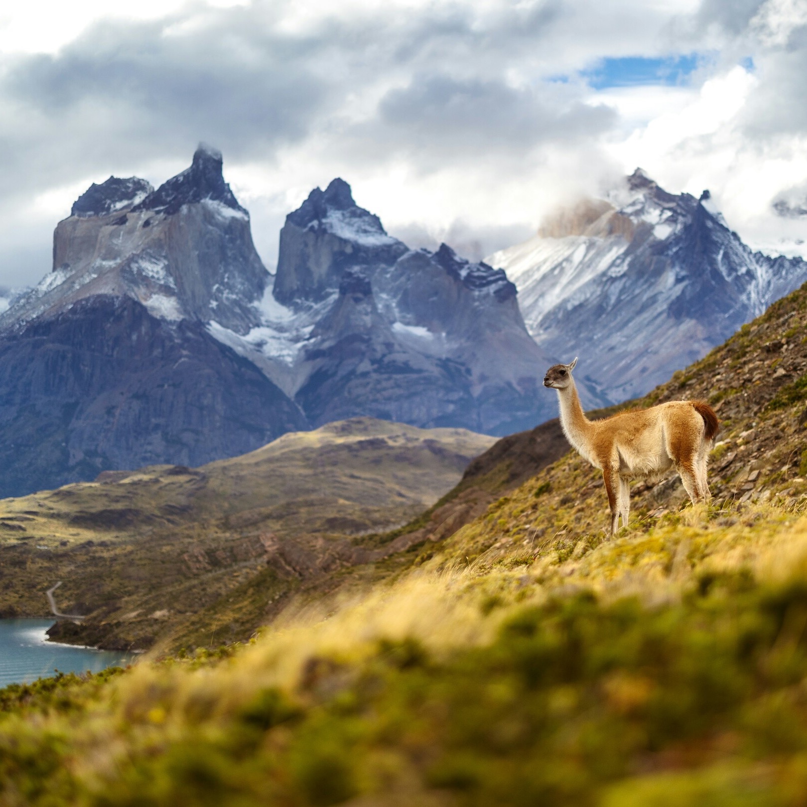 Join Primmy & I In Patagonia! thumbnail