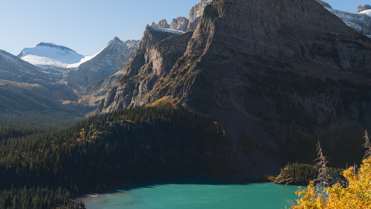 BioSite banner for @dylan