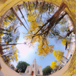 Drone experimentos  thumbnail