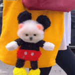 LINK 49 - BOLSA DO MICKEY PARA PET thumbnail