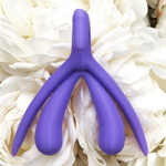 The clitoris thumbnail