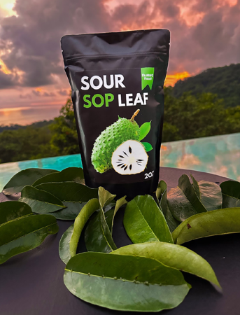 Raw Herbs thumbnail