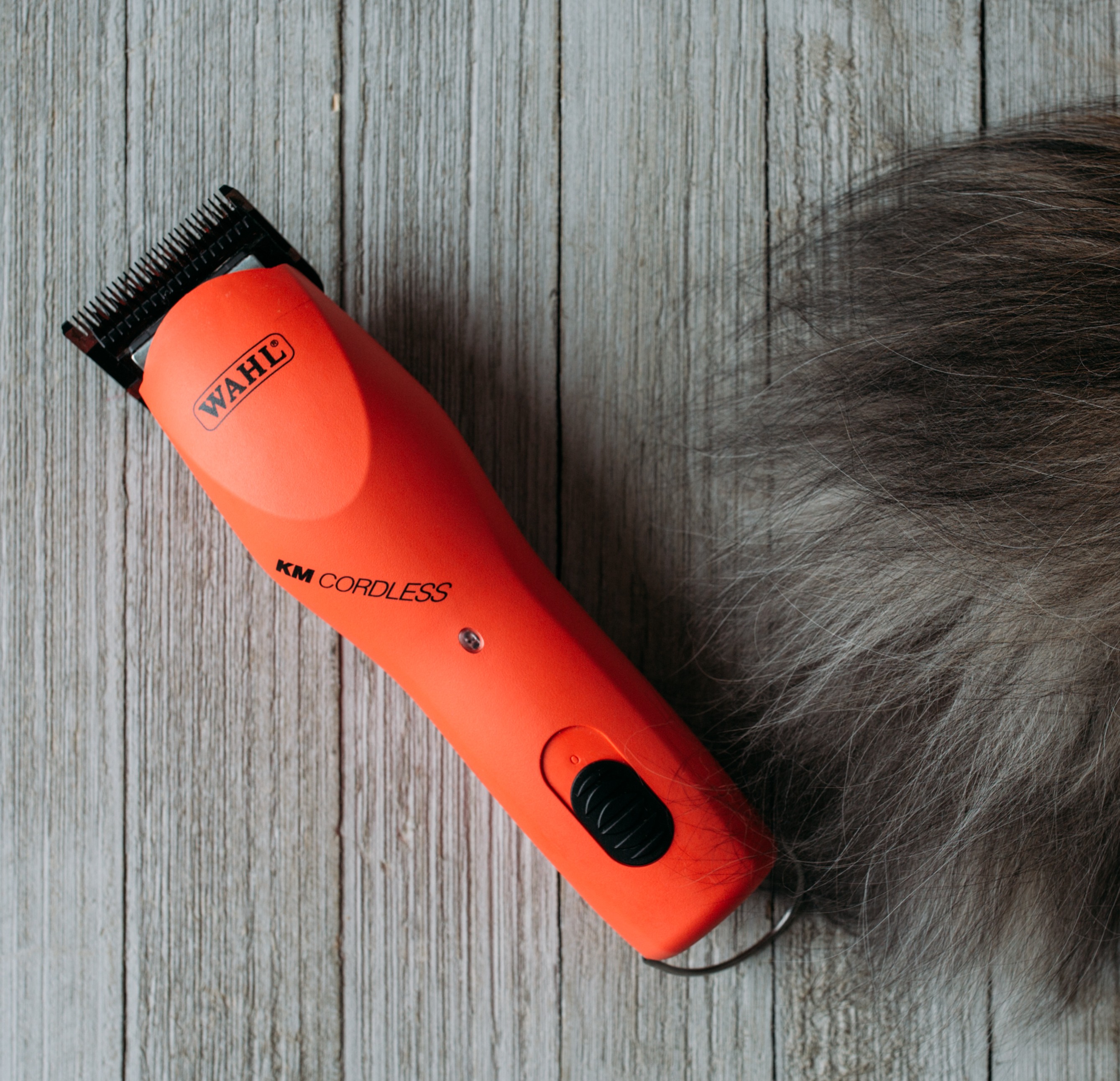 Save 10% on Wahl Clippers with code LYNN at Wahlpro.com thumbnail