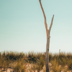 Location (Directions) thumbnail