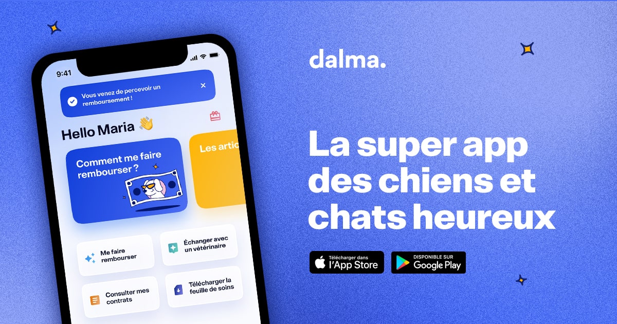 Dalma |&nbsp;L'assurance santé : MARGAUXxSHADOW thumbnail