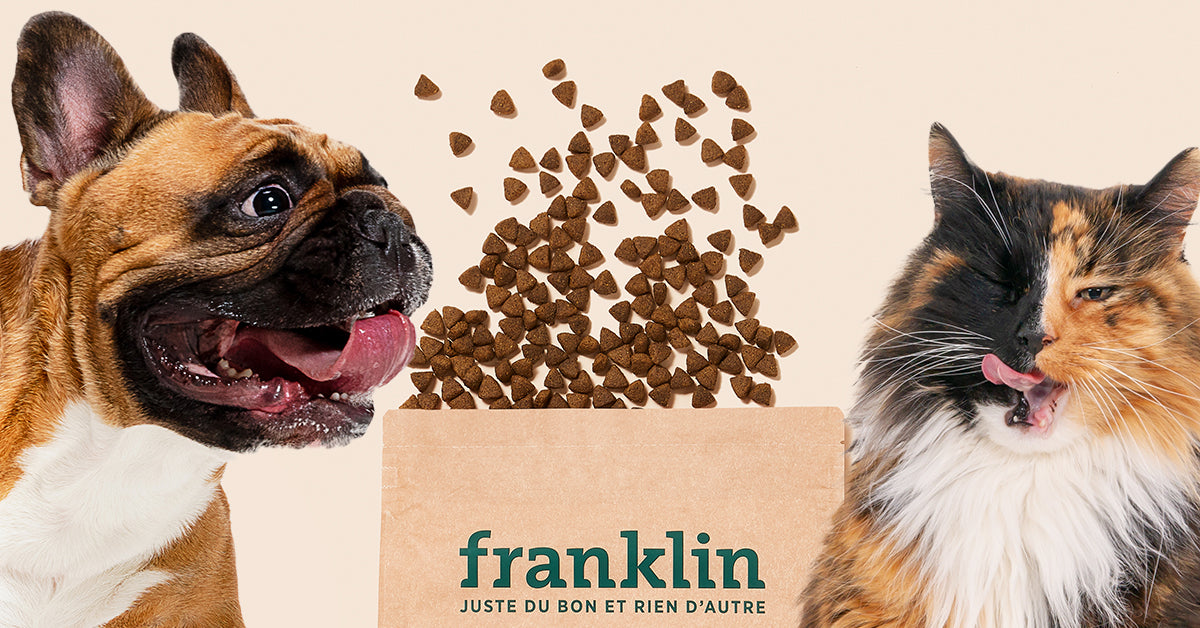 Franklinpetfood : SHADOW30 thumbnail
