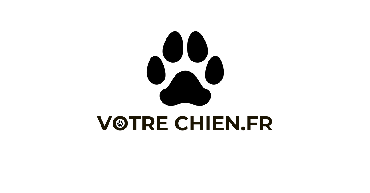 VOTRE CHIEN : SHADOW15 thumbnail