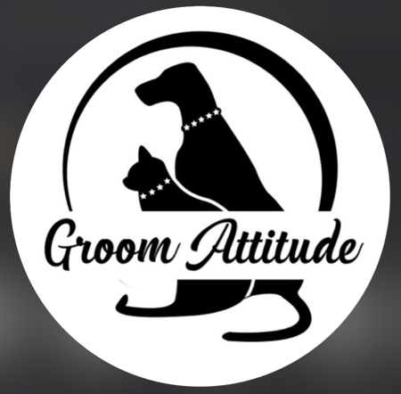Groom Attitude : SHADOW10 thumbnail