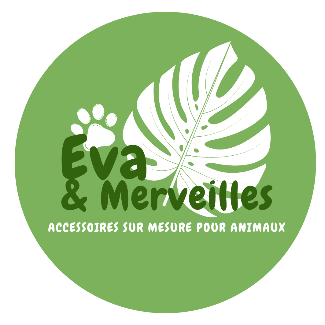 Eva & Merveilles | chien : SHADOW10 thumbnail