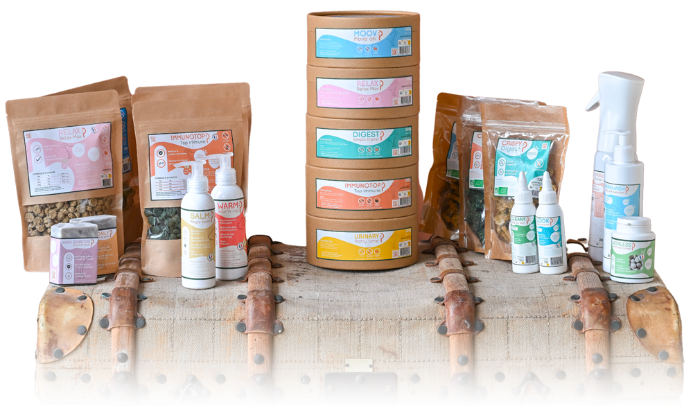 Happy Scoop - La touche naturelle française : HAPPYSHADOW thumbnail