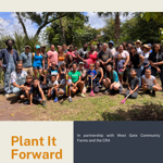 Plant It Forward Info Doc thumbnail