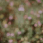 Let's Chat thumbnail