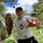 Swarm Catch by Hand thumbnail