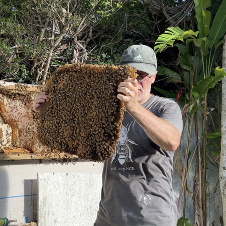 Fence Full of Honey thumbnail