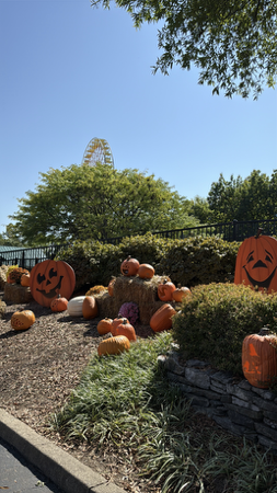 Kentucky Kingdom/ unlimited soft drinks $34.99 admission thumbnail