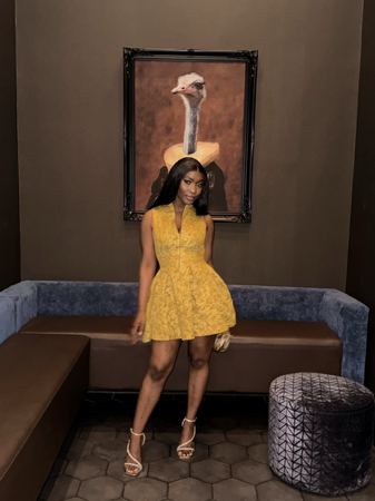 Jacquard Sleeveless Ruched Mini Dress thumbnail