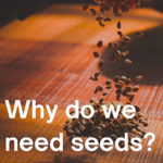 Seed Podcast (Colorado) thumbnail