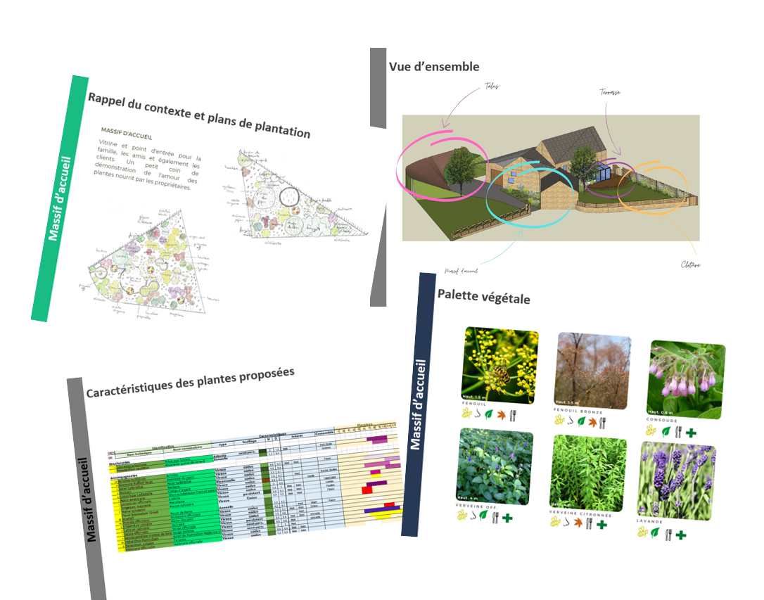 Plans à l'échelle avec visuel des plantes thumbnail