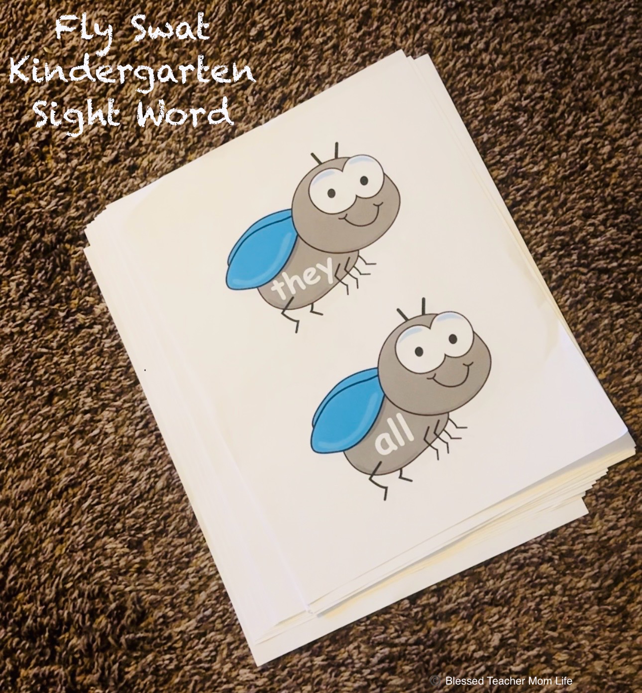 Free Fly Swat Kindergarten Sight Word Activity  thumbnail