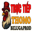 @dagabelugaprod · ĐÁ GÀ TRỰC TIẾP THOMO HÔM NAY thumbnail