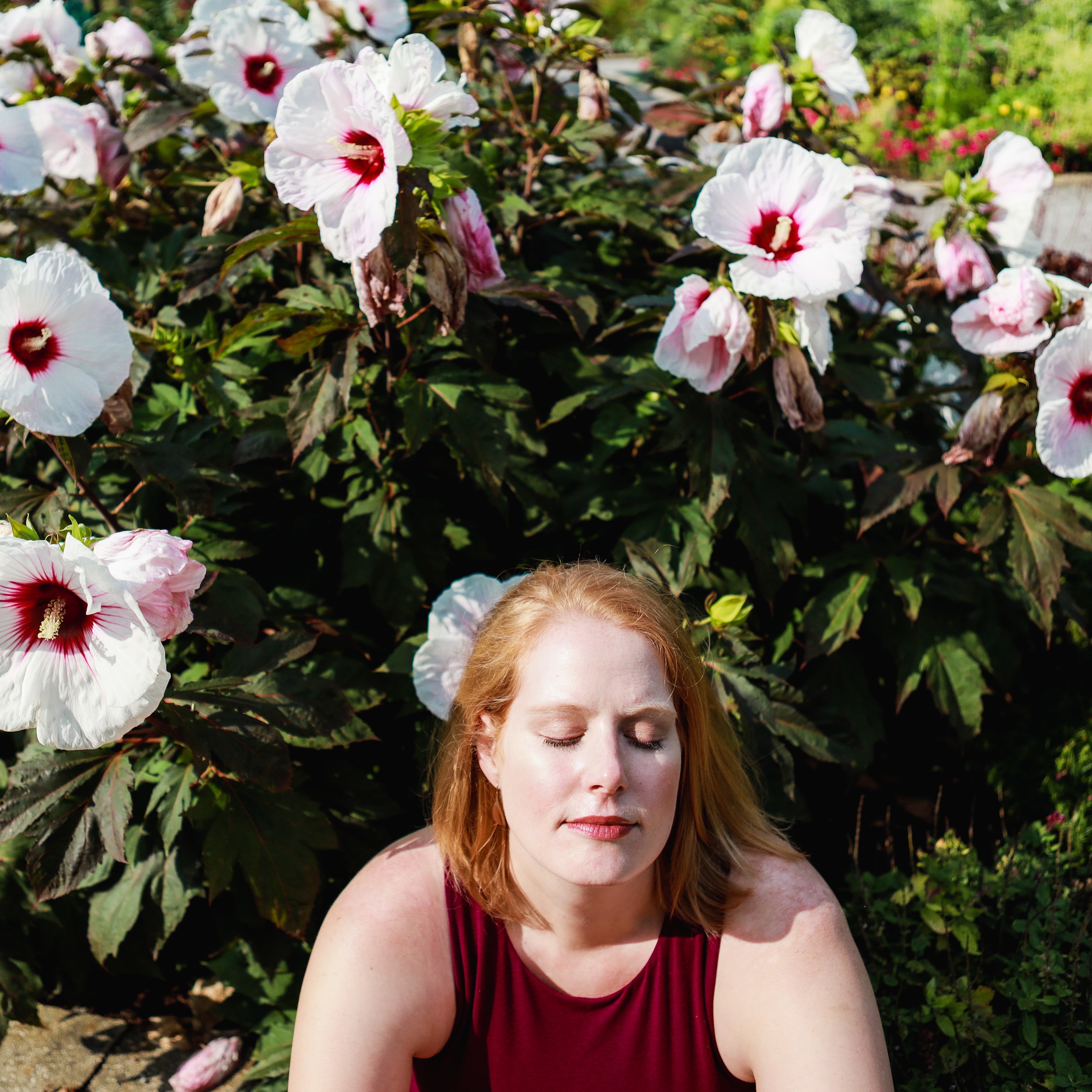 acuity scheduling link thumbnail