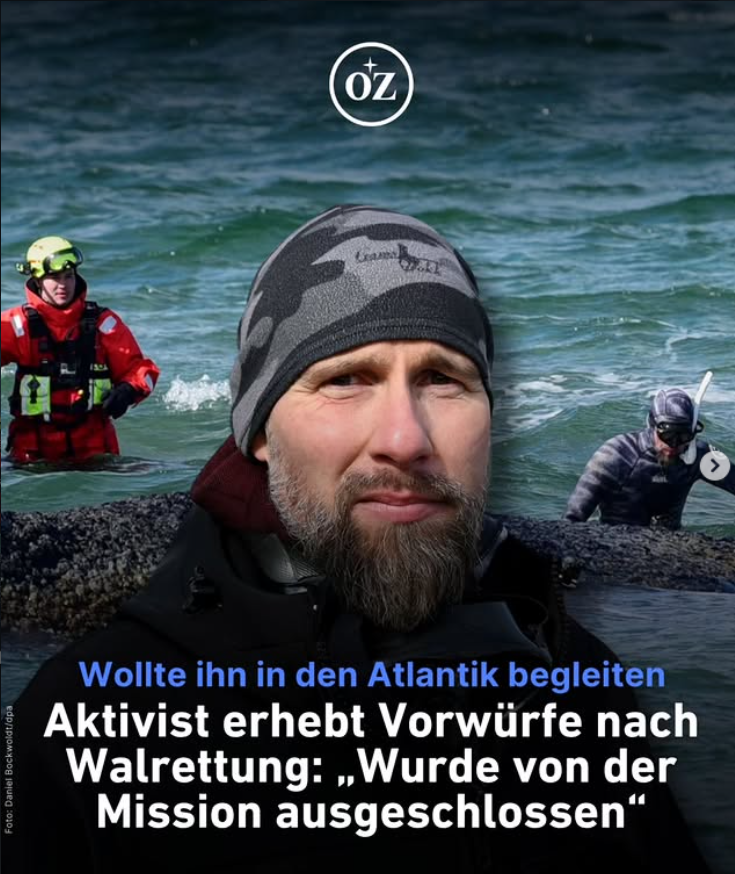 Aktivist erhebt Vorwürfe nach Wal­rettung an der Ostsee: „Wurde von Rettungs­mission ausgeschlossen“ (+) thumbnail