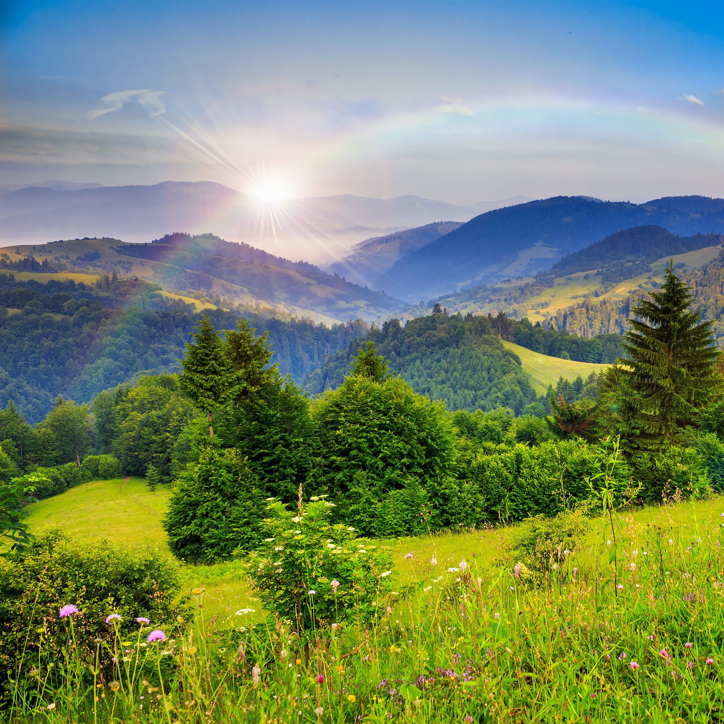 Live Life to the Fullest thumbnail