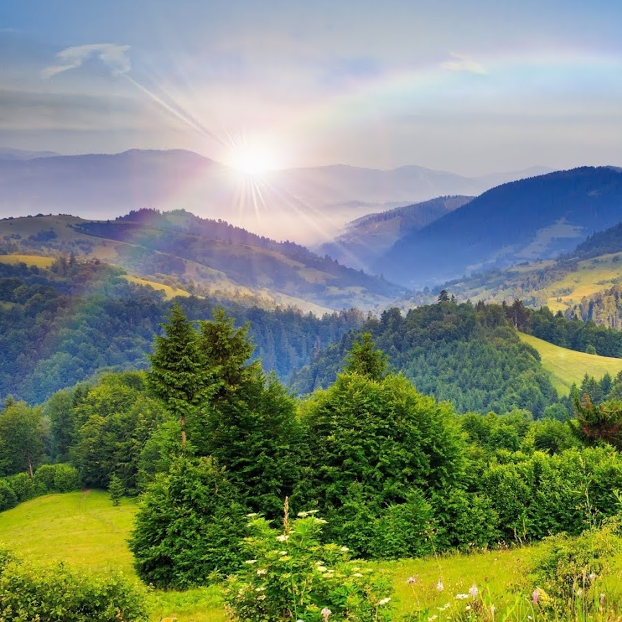 YouTube Playlists thumbnail