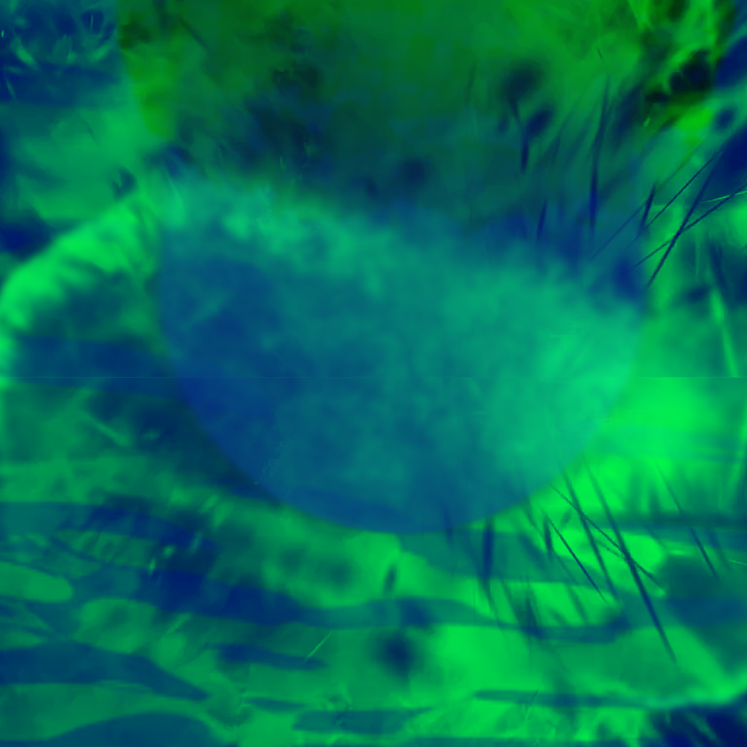 Exhibition mediation "After me, the deluge" (Cẩm-Anh Lương, SOMA Art Berlin) thumbnail