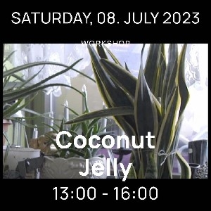 Workshop coconut jelly (Wandering Salon festival, Berlin 2023) thumbnail