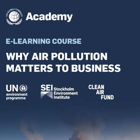 Air Pollution: Academy E-Learning Course thumbnail