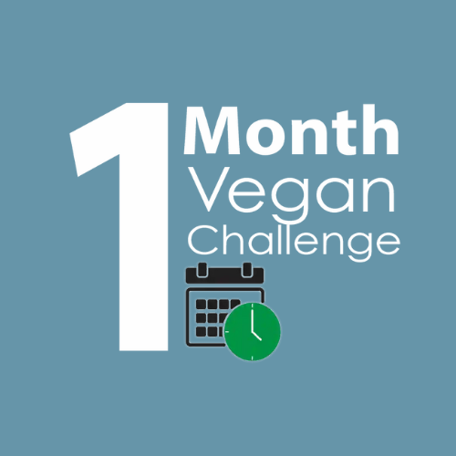 1 Month Vegan Challenge – 1 Month Vegan thumbnail