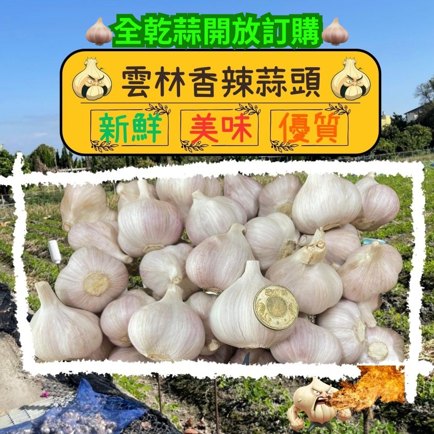 全家店到店 (⚡️免運&下單贈老薑⚡️) thumbnail