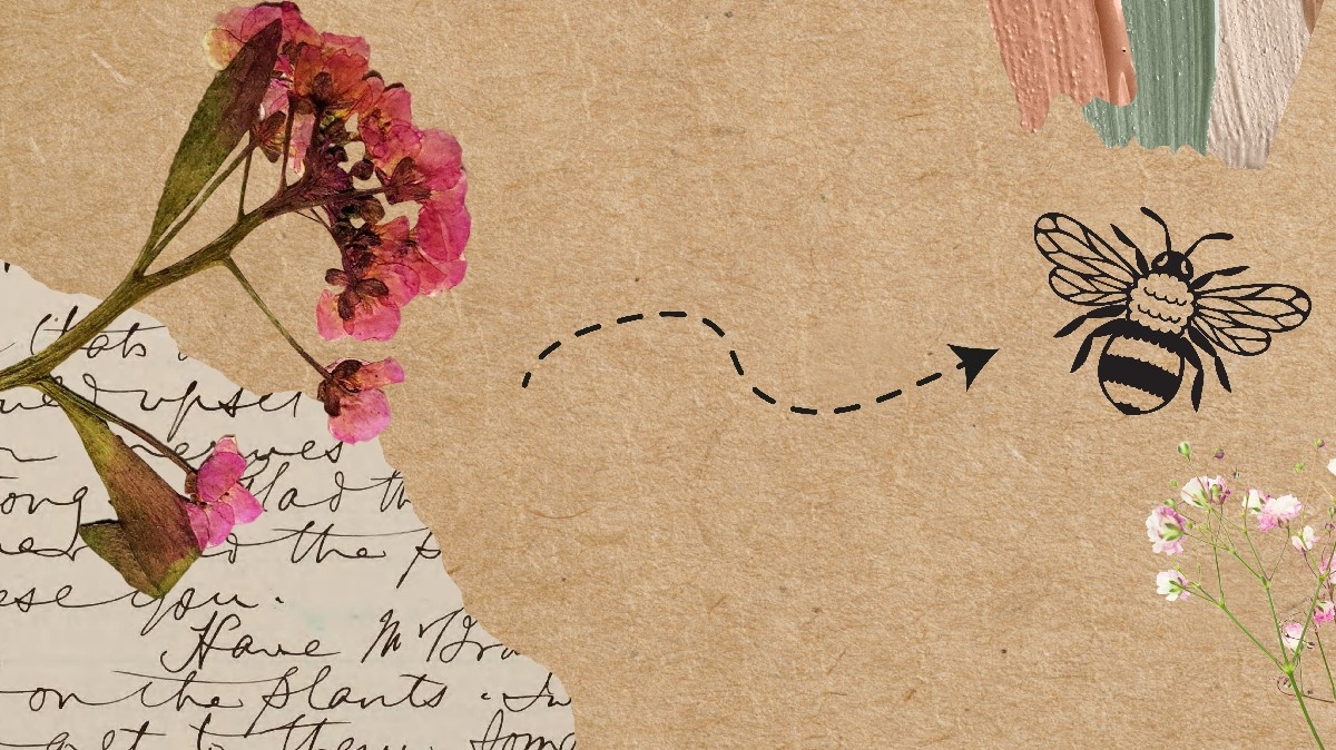 BioSite banner for @origami