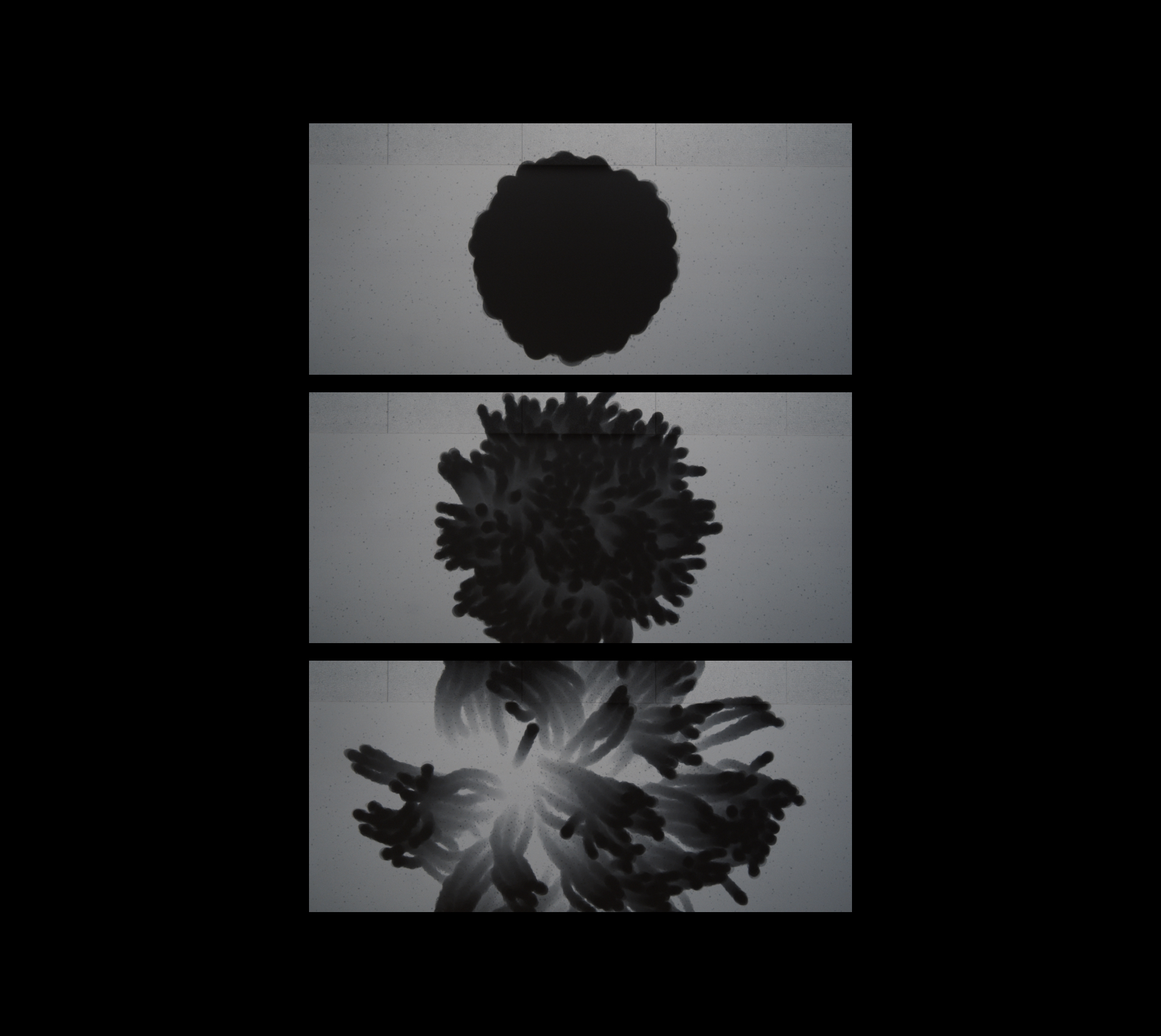 Everyone Matters thumbnail