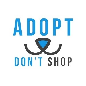 Adopt Don't Shop (Website) thumbnail