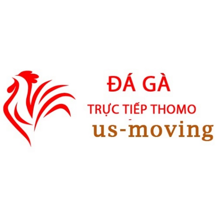 Đá Gà Trực Tiếp Thomo Hôm Nay thumbnail