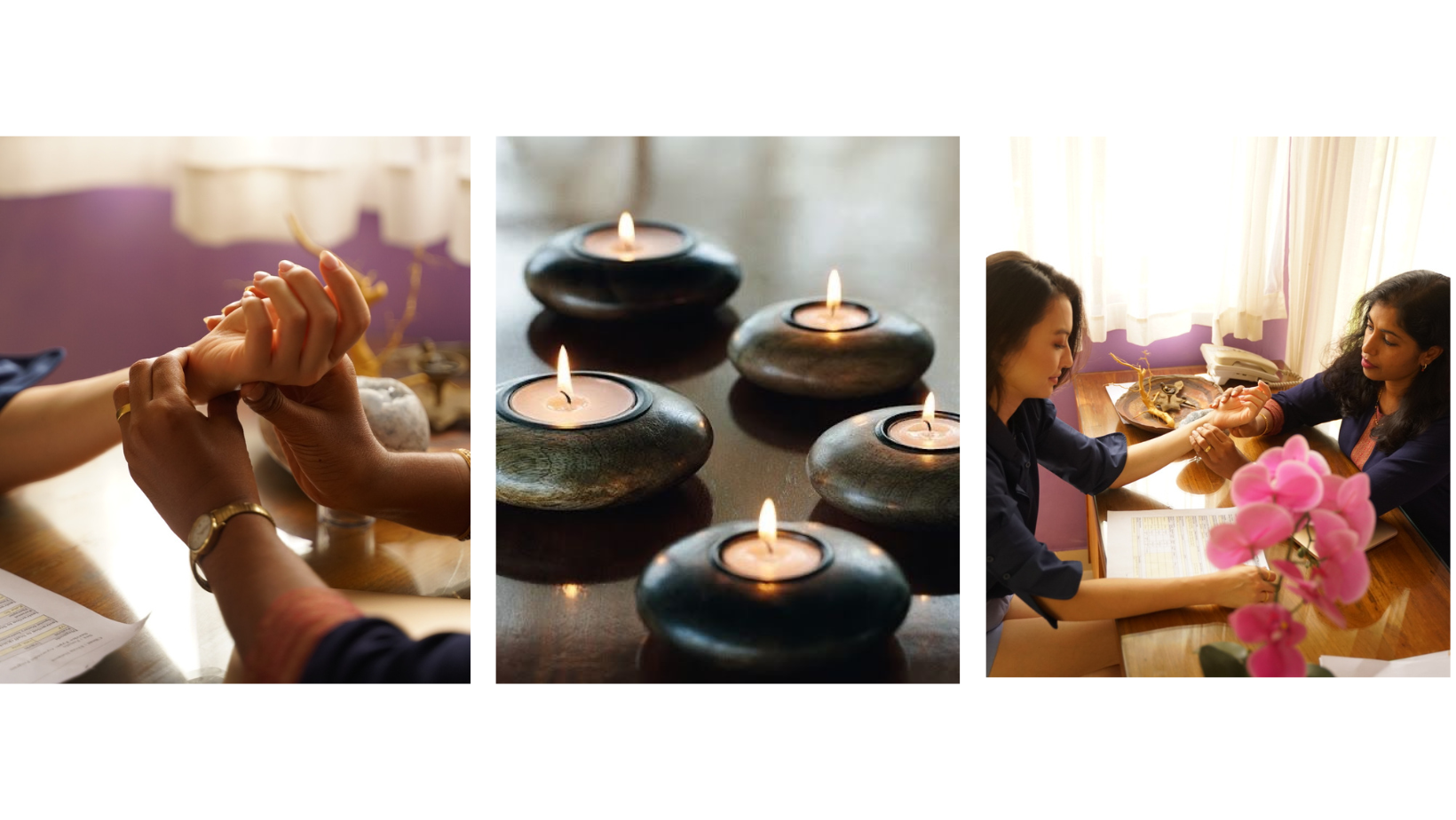 Amrtasiddhi Ayurvedic Centre Bio Site